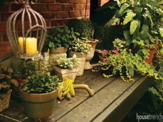 Plants beef up a landscape design