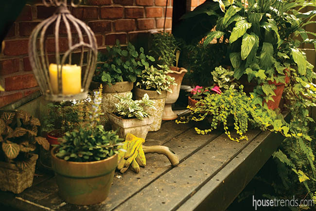 Plants beef up a landscape design