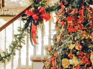 Christmas tree greets guests in an entry hall
