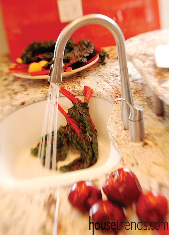 Granite countertop creates a great prep space