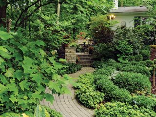 Brick path runs through a garden