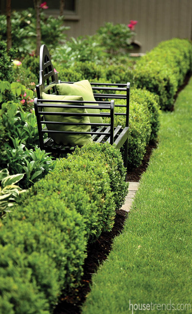 Garden plants surround benches