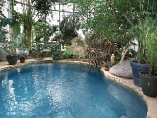 Swimming pool answers the call of the wild