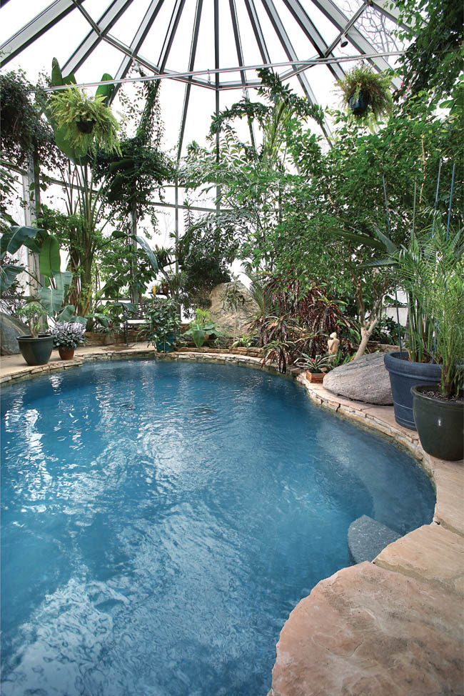 Swimming pool answers the call of the wild