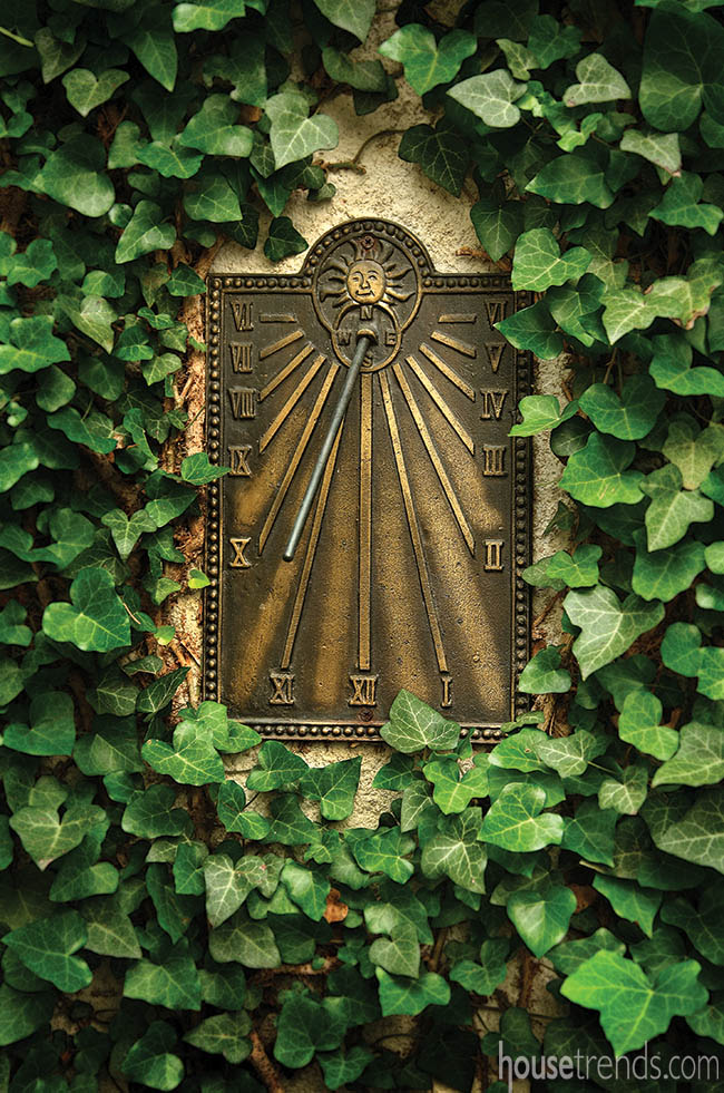 Ivy surrounds a wall-mounted sundial