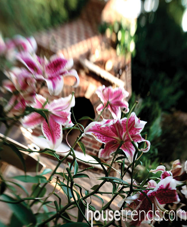 Flower pots bring a patio close to nature