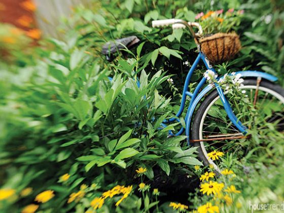 Old bicycle adds interest to a garden