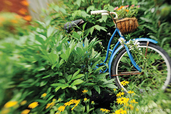 Old bicycle adds interest to a garden