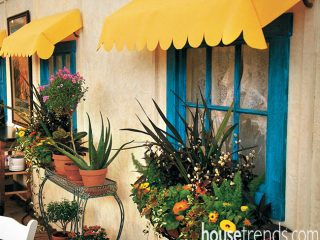 Windows play host to colorful planter boxes