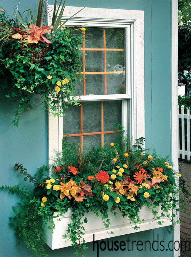 Planter boxes dress up windows