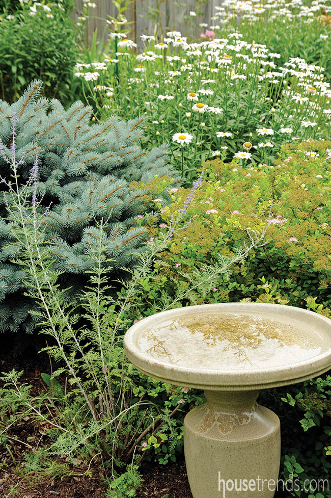 Shrubs populate a back yard garden