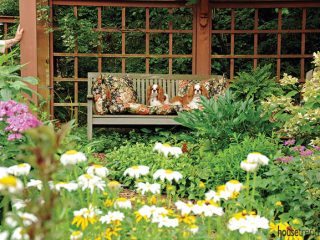 Dogs relax on a garden bench