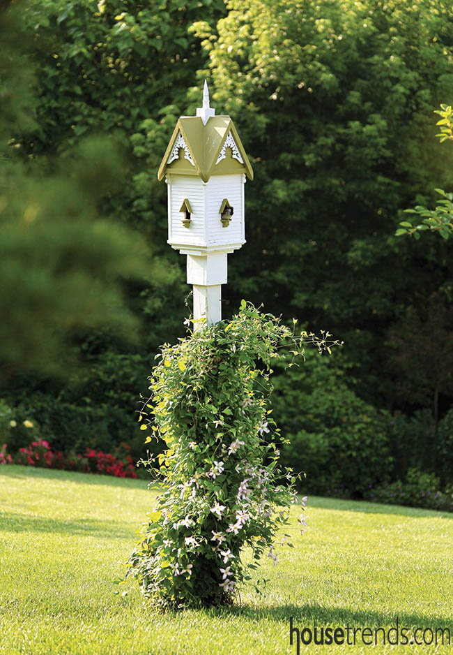 Birdhouse hosts winged guests and plant life