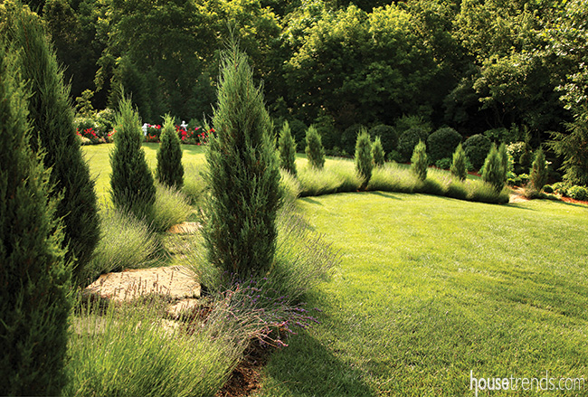Trees offer cover to a lavender path