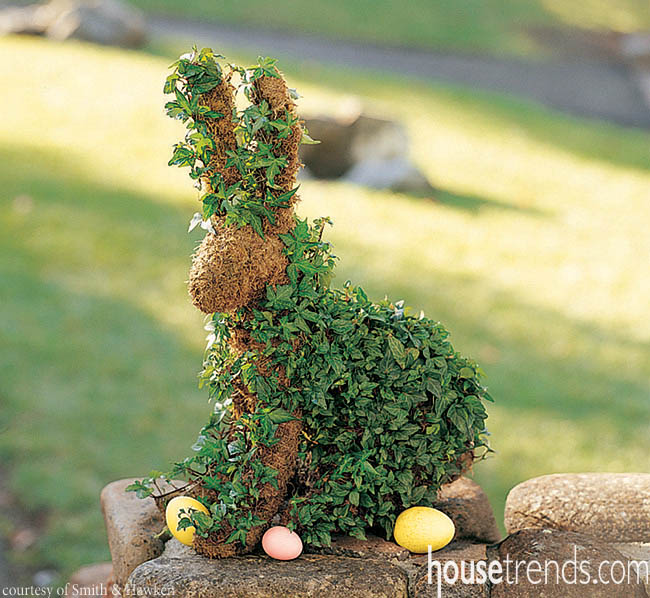 Topiary gardening makes good use of ivy