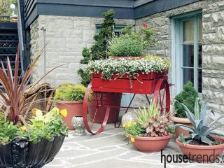 Garden flowers vary to create interest and contrast