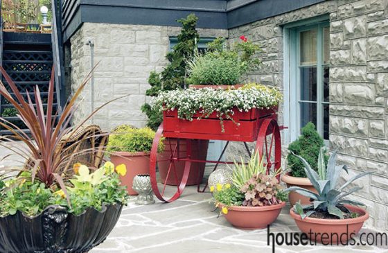 The six secrets of a container garden