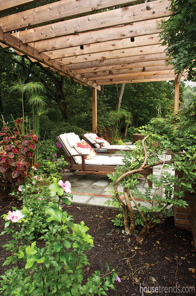 Natural landscape adds mystery to a pergola
