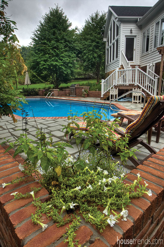 Perennials add elegance to an outdoor living space