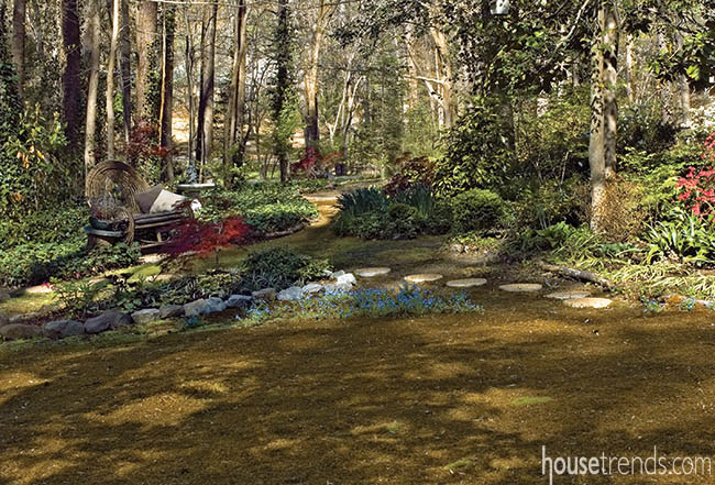 Moss thrives in a shady landscape design