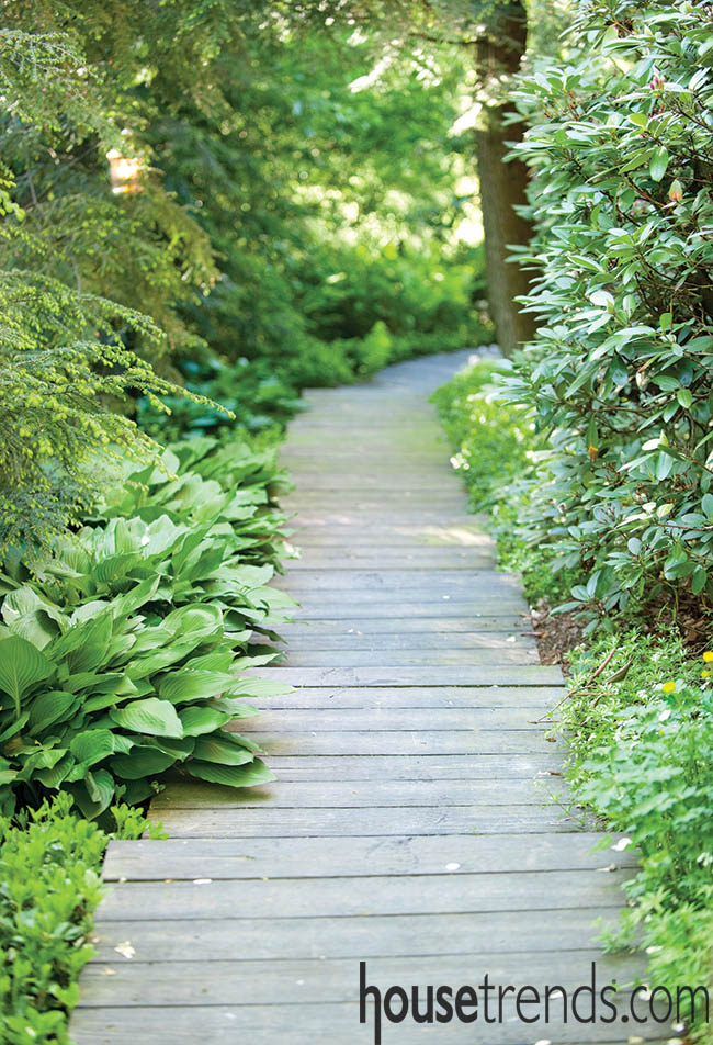 Path winds through a landscape design
