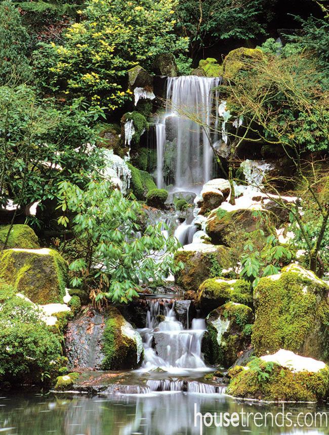 Moss decorates landscape rocks