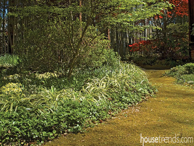 Landscape design with a non-traditional walkway