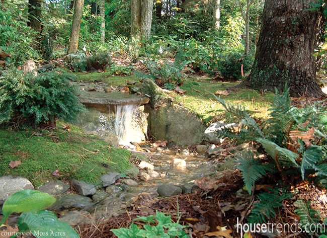 Moss benefits a landscape design