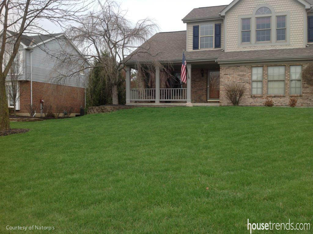 Landscaping tip to transition from winter to spring