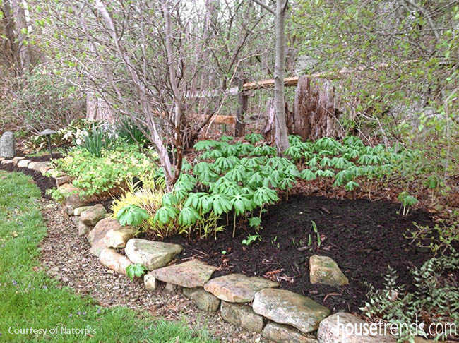 Landscape tips to get the most from your mulch
