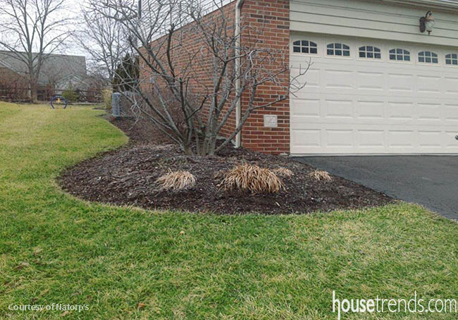Keep your landscape looking neat