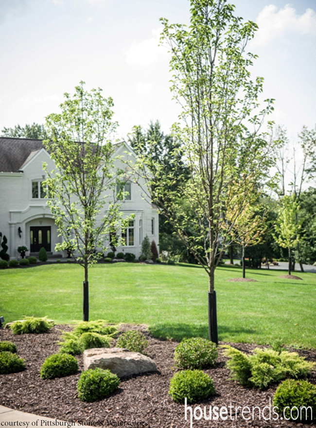 Landscape Design With Low Maintenance Plants Landscape Design With Low Maintenance Plants