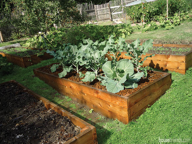 Garden design is all about efficiency