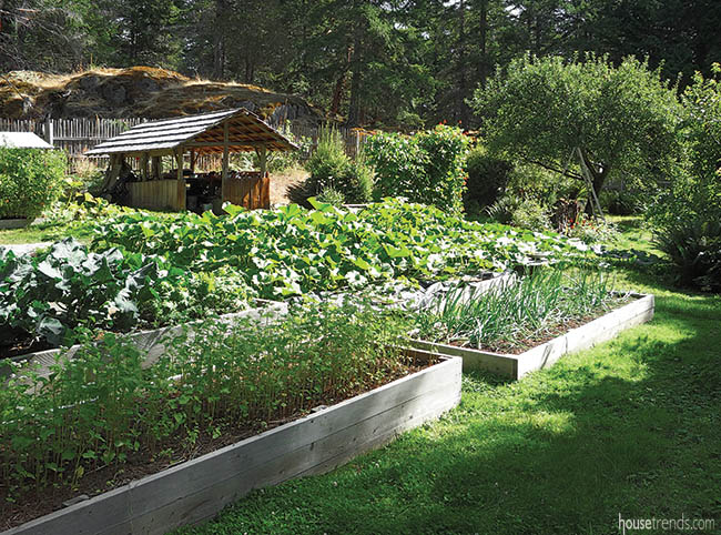 Raised gardens box out weeds