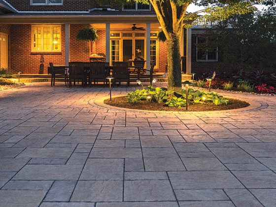 Landscape lighting illuminates a beloved tree