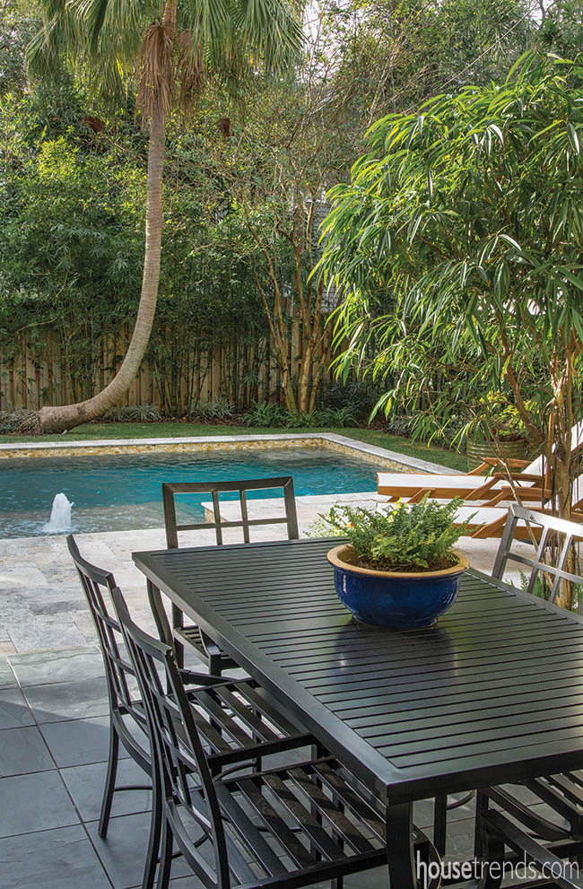 Privacy plants shield a patio and swimming pool