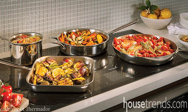 Kitchen designs welcome induction cooktops