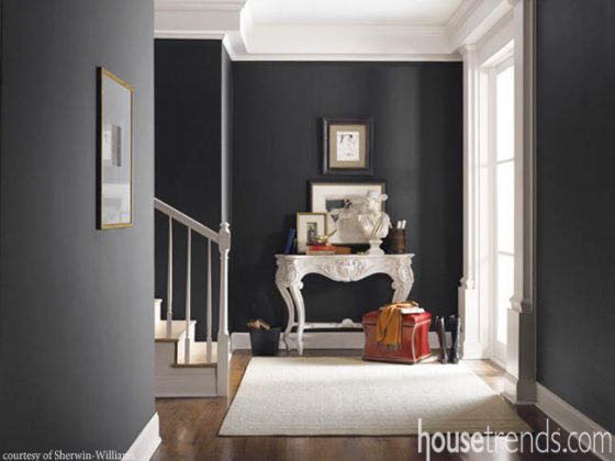 Paint color creates a neutral interior with dramatic flair