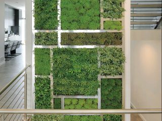 Living wall spans multiple levels