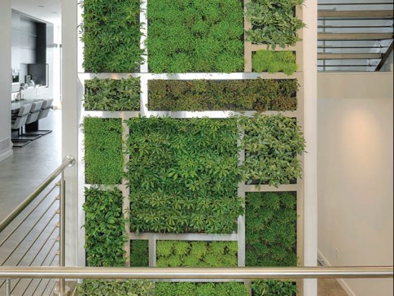 Living wall spans multiple levels