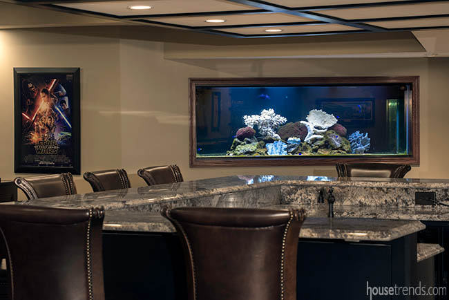 Saltwater fish tank in a basement