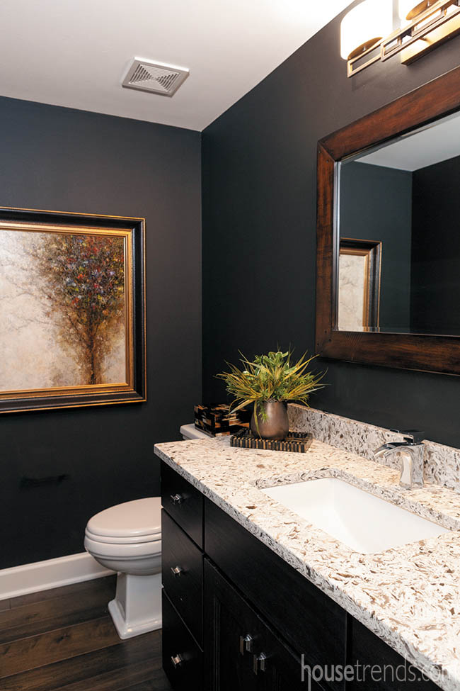 Black walls in a guest bath